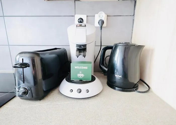 公寓 Le Poincare - 4 Prs - Clim - 300 M